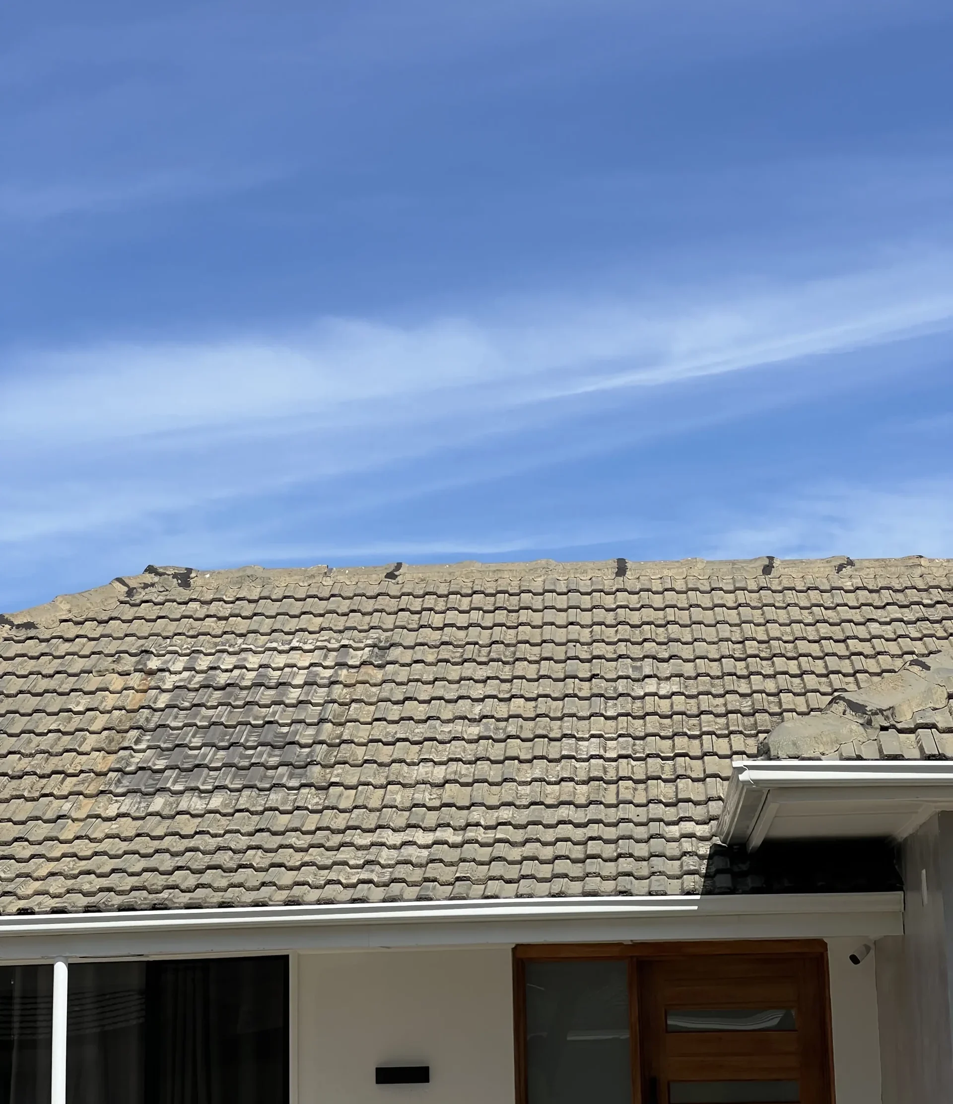 Next Level Roof Painting Service in Adelaide