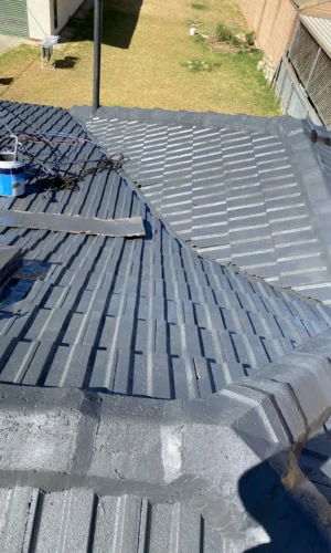 Next Level Premium Roof Painting Adelaide